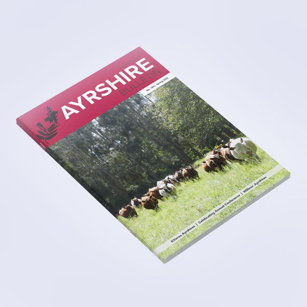 Magazines & Catalogues