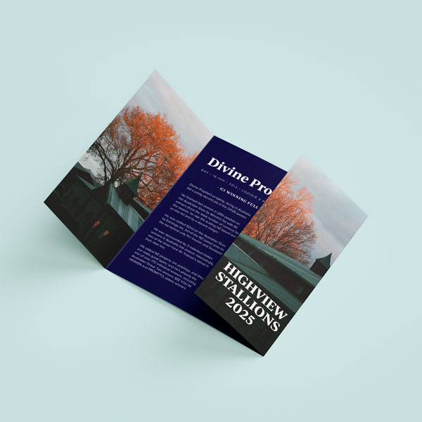 Gatefold Leaflets & Flyers