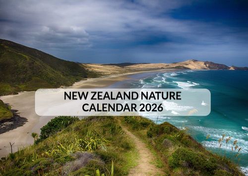 2026 13 Month Calendar A4 NZ Nature