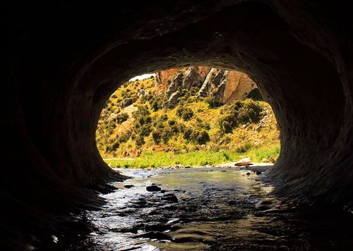 2026 13 Month Calendar A4 NZ Nature