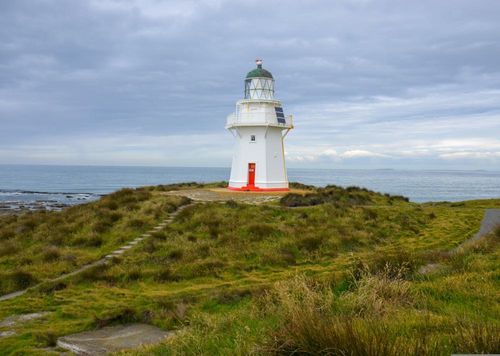 2026 13 Month Calendar A4 NZ Nature