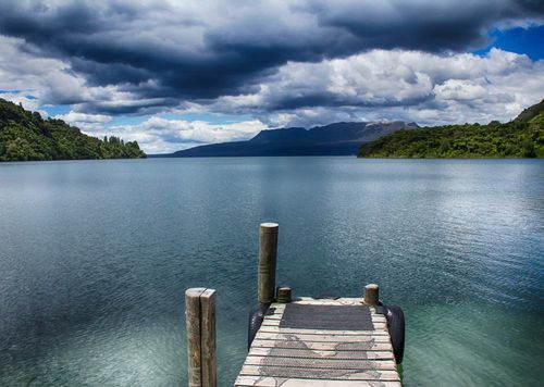 2026 13 Month Calendar A4 NZ Nature