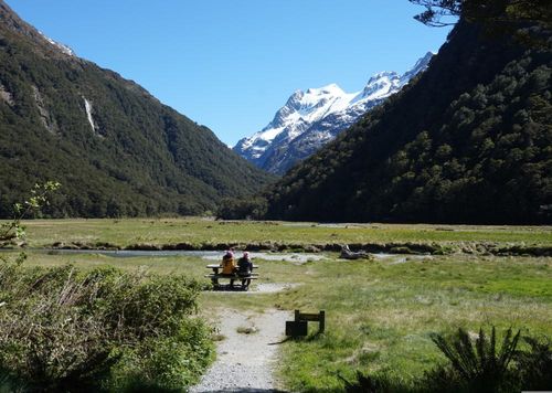 2026 13 Month Calendar A4 NZ Nature