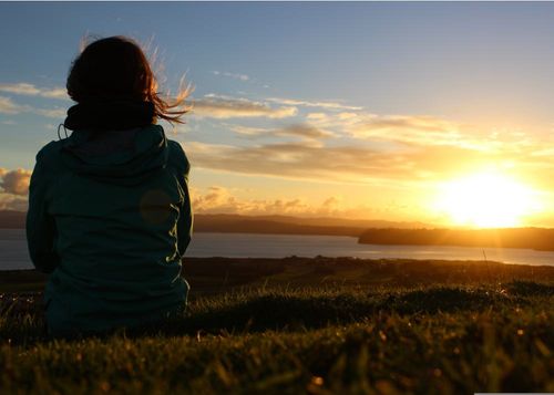 2026 13 Month Calendar A5 NZ Nature