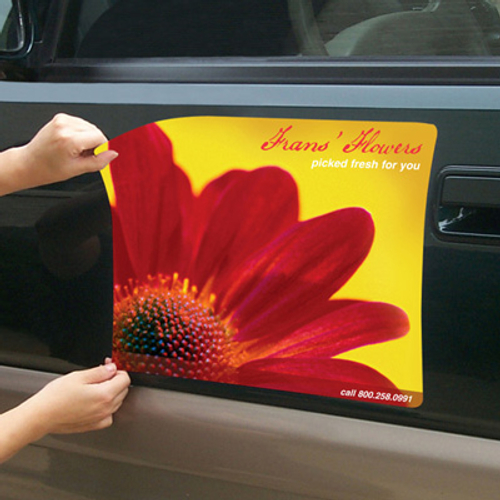 Car Door Magnets