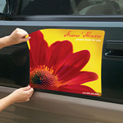 Car Door Magnets