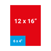 12 x 16
