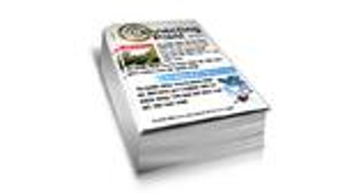 Budget A4 Flyer