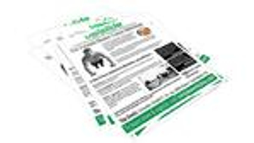 Budget A4 flyer