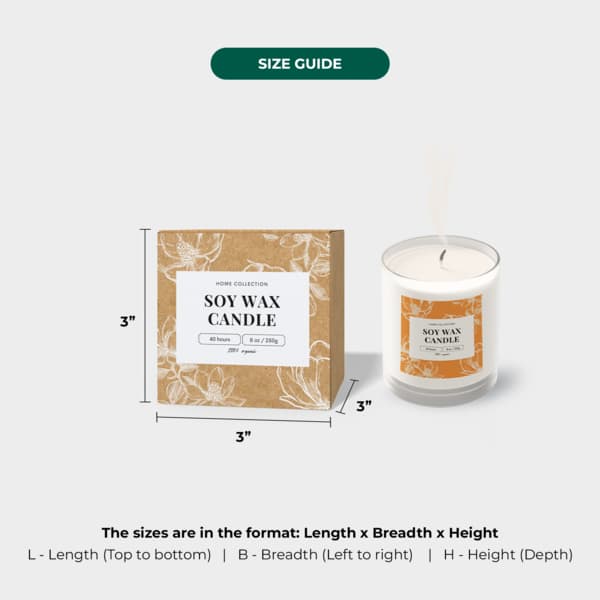 Kraft Paper Product Box 5