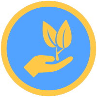 Eco friendly and Recyclable