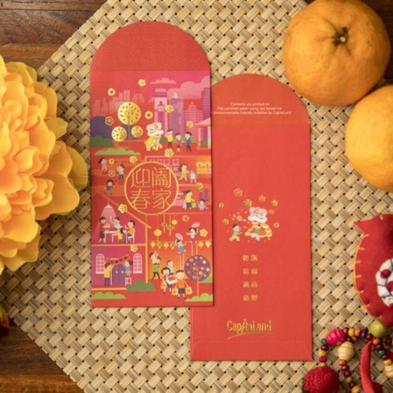 Vertical Money Packet