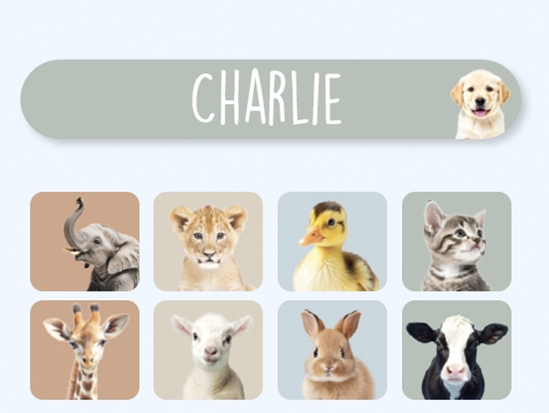 Mini Realistic Name Stickers 9