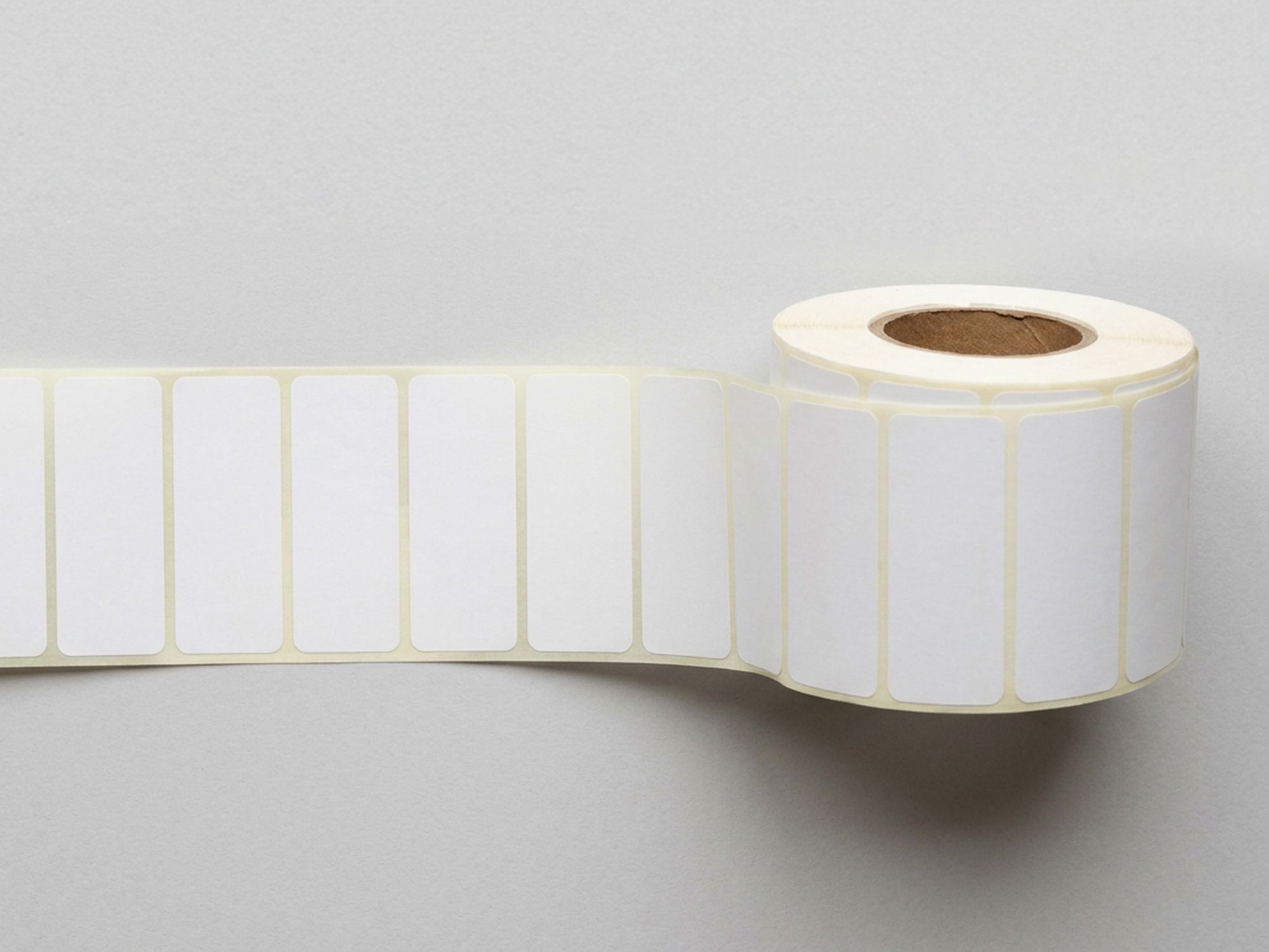 Blank Labels 1