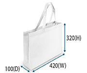 Non-Woven Bag Models