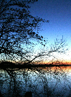 Photo Book Portrait 205 X 280mm V4