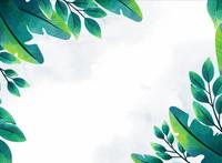 Photo Book Landscape 280*205mm V2