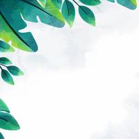 Photo Book Square 280mm V2