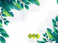 Photo Book Landscape 380*280mm V2