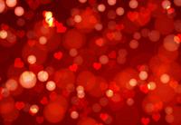 Photo Book Landscape 205 X 140mm V3