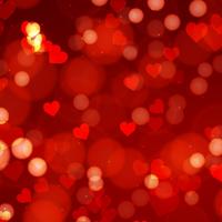 Photo Book Square 127mm V3