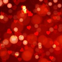 Photo Book Square 153mm V3