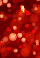 Photo Book Portrait 140 X 205mm V3