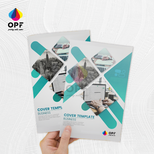 Express Flyer & Brochure