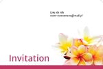 Invitation 38
