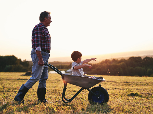 2025-2026 Financial Calendar (Australia Wide) Family Photos