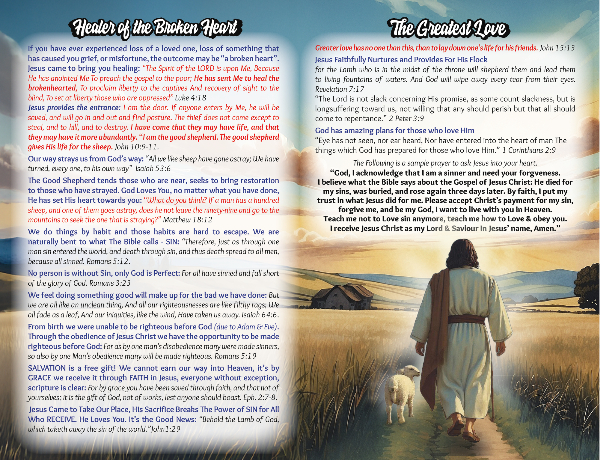 The Good Shepherd Other side