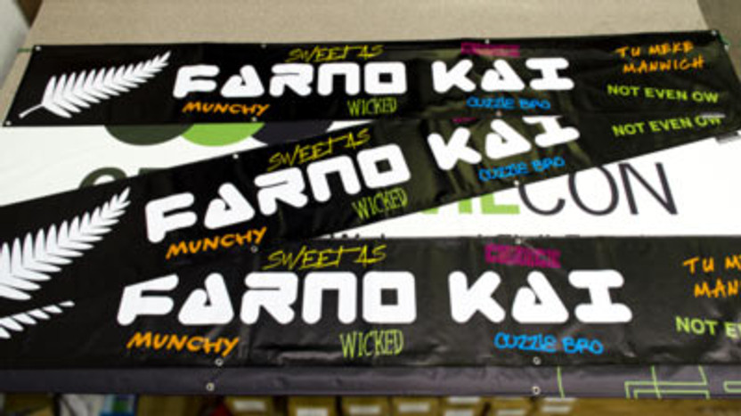 Vinyl Banners
