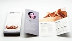 Folded Flyers